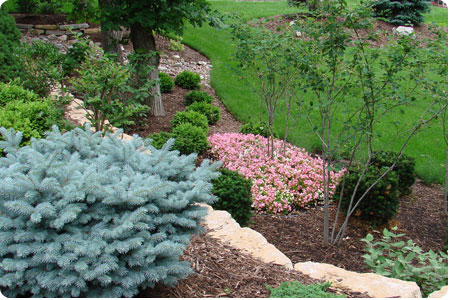 landscaping photo 10
