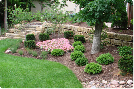 landscaping photo 14